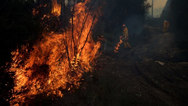 More than 20 crews are fighting bushfires near Rockhampton.