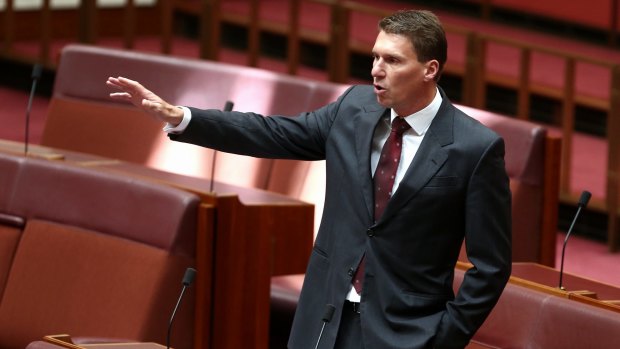 Senator Cory Bernardi in the Senate.