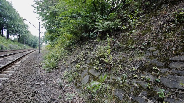 An area close to where a Nazi gold train is believed to be hidden underground, near the city of Walbrzych, Poland.