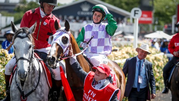 Racing Victoria are worried about the downturn in entry numbers to Australia's biggest distance races, the Melbourne Cup and the Caulfield Cup.