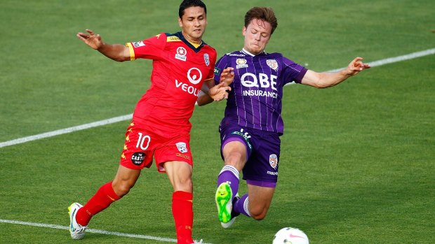 Marcelo Carrusca of Adelaide United and Chris Harold of Perth Glory vie for the ball.
