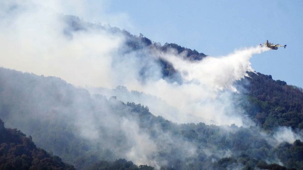 Southern Europe is expected to become hotter and drier, particularly in summers, increasing the risk of forest fires.