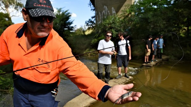 A group of passionate bass fishers have found themselves at the forefront of a campaign to help save their beloved South Creek after a toxic spill. 