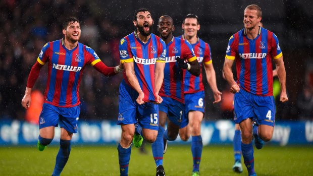 Pick that out: Mile Jedinak of Crystal Palace celebrates with his team mates.