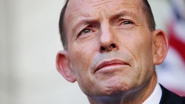 Tony Abbott says no leader can achieve anything if they are "subject to death by opinion poll".