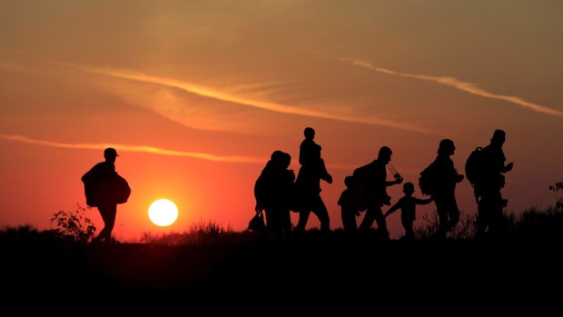 Migrants walk along in the sunset after crossing into Hungary from the border with Serbia near Roszke, Hungary.