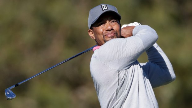 Interest: Tiger Woods would be looked at as a drawcard for the 2018 Australian Open if he was fit.