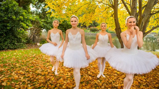 Dancers from the St. Petersburg Ballet who are performing Swan Lake: Arisa Hashimoto, Maria Kobzeva, Larisa  Fabrichnova and Valeria Andropova. 