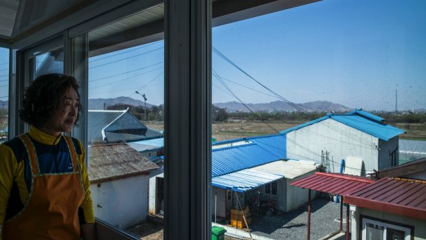 Cho Young-sook looks toward North Korea from her home in Taesung, also known as Freedom Village.