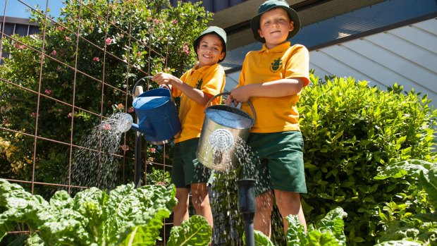 Hawker Primary School kitchen garden students Joel Selmes and Nathan Brown water the produce.