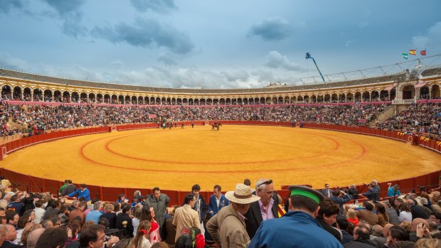 Corrida at Maestranza bullring in Seville, Spain.