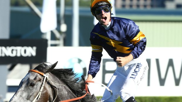 Sentimental favourite: Tommy Berry rides Chautauqua to win the TJ Smith Stakes.