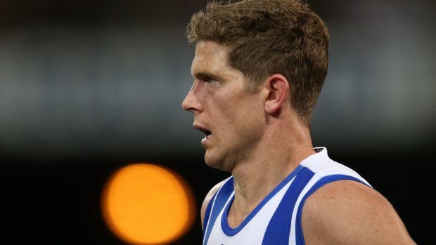 Considering future: North Melbourne's Nick Dal Santo might play on in 2017 with a third club. 