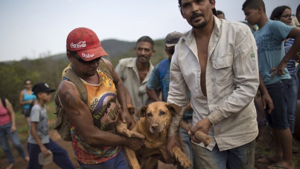 Men carry an injured dog after rescuing it in the small town of Bento Rodrigues.