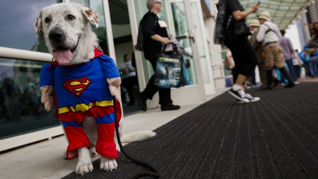 Sometimes it's the little things that cause the most delight at Comic-Con.