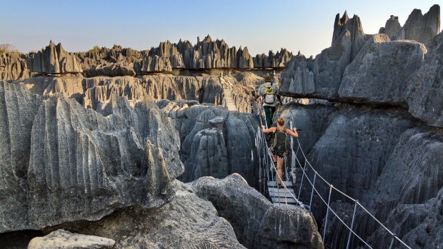 The unique limestone landscape at the Tsingy de Bemaraha Strict Nature Reserve in Madagascar.