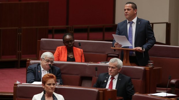 One Nation senator Peter Georgiou delivers his first speech to the Senate on Wednesday.