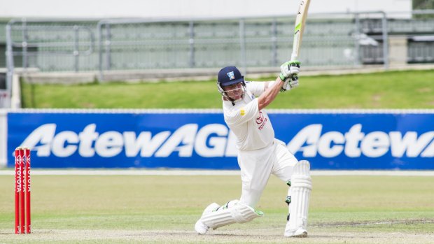 Brad Haddin on his way to a century for the ACT Comets in November.