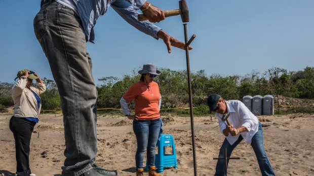 Members of Colectivo Solecito, a group of women whose children are missing, excavate for bodies in March at a site near Veracruz City where they have previously found more than 250 skulls.