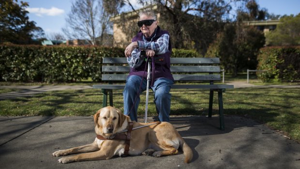 Lyneham resident, Anna Saxon waiting for a bus with her guide dog. She finds it very difficult to get around Canberra and plans to attend the Council on the Ageing forum. 