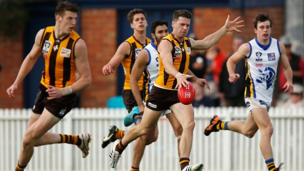 The Box Hill Hawks are favoured to win the VFL grand final against Williamstown on Sunday.