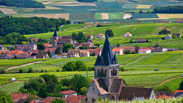 The beautiful Champagne region of France.