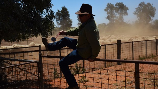 Tony Hilder from Wirryilka Station near Menindee. Sheep farmers like the Hilders are enjoying high prices and good rains. 