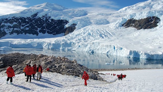 In Antarctica with Ponant. 