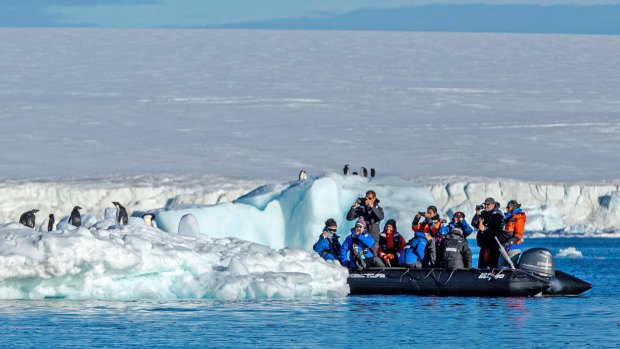 Scenic Eclipse passengers observe penguins from a Zodiac. 