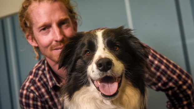 Koda is a border collie trained in animal-assisted therapy. Owner Doug Moczynski says Koda is used by Berry Street to accompany traumatised children into stressful situations. 