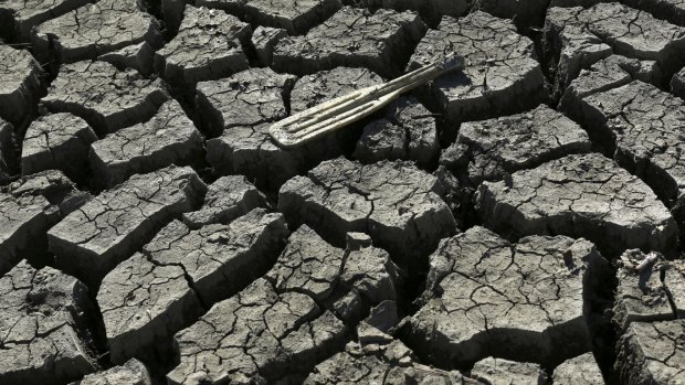 The worsening drought is forcing California policy makers to consider all kinds of changes.