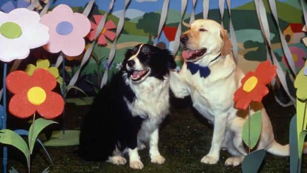 Bouncer (right) in a dream sequence on Neighbours.