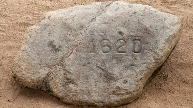 Plymouth Rock: It has its own cage and everything.