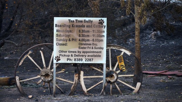 The fire tore through the kennels and cattery on Saturday, killing dozens of family pets. 