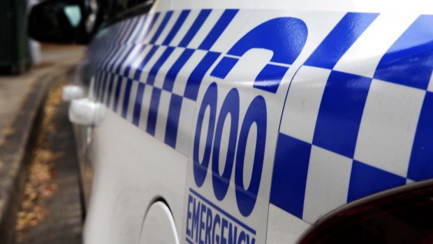 A group of around 40 youths were involved in an attack on a Fitzroy house.