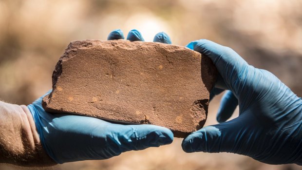 The discovery of this axe-head grindstone inside the Kakadu National Park has rewritten the history of Australia. 