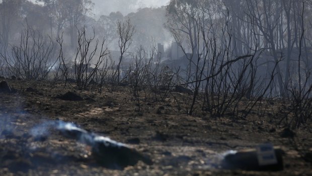 The fires burnt more than 3000 hectares in February.