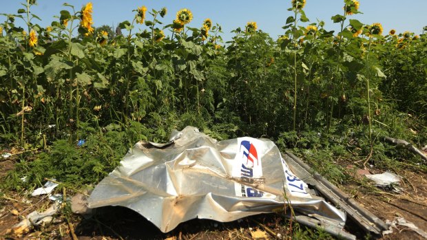 A piece of plane debris at one of the sites where the front section of MH17 crashed in Donetsk, Ukraine.