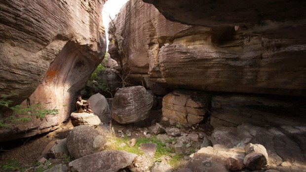 Aboriginal artist Wilfred Nawirridj studies rock art in a vast cave at Injalak Hill in Arnhem Land.