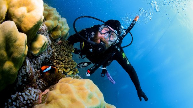 The writer diving the Great Barrier Reef. Instructors in Cairns come from all over the world.