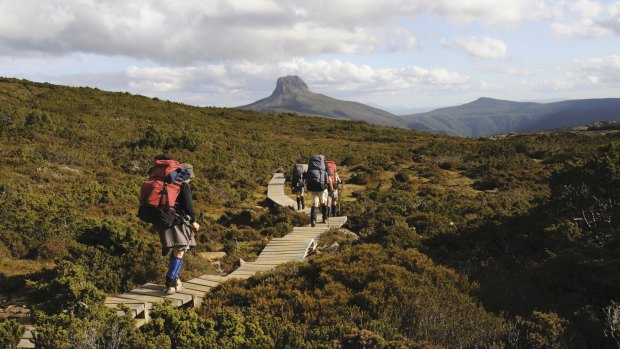 Unique Aussie experience. Whenever the dollar dips, Australian tourism is the winner with excursions such as walking Tasmania's overland track proving popular.