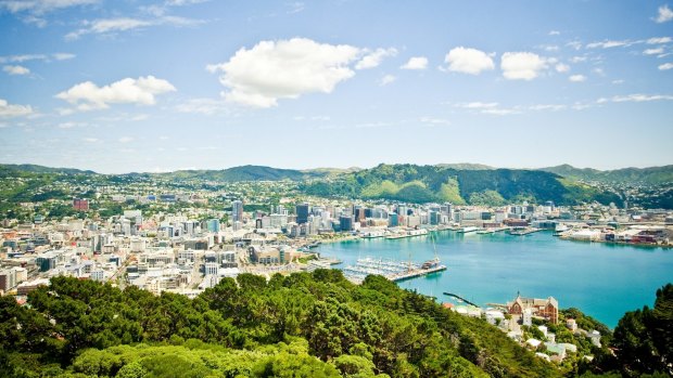 The view of Wellington from Mt Victoria.