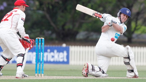 Matured: Nic Maddison batting for NSW.