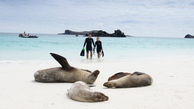 Celebrity Flora's Galapagos cruise includes daily activities like snorkelling, kayaking and tender rides.