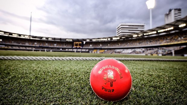 The pink ball allows for day-night cricket but the visibility of the ball has come under the spotlight.