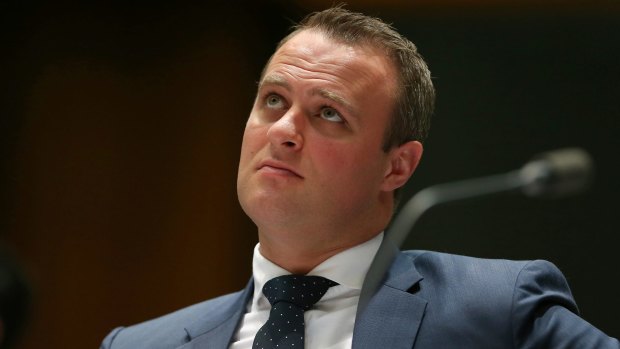 Tim Wilson is prepared to take a $200,000 pay cut to make "tough decisions".