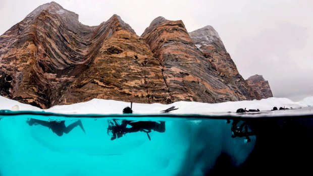 Polar snorkelling is a brilliant way to experience the frigid environment from a new angle.