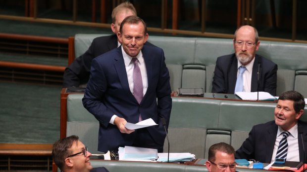 Former prime minister Tony Abbott responds to opposition cheers as he rises to ask a question on trade with Singapore during question time  on Wednesday.