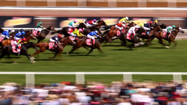 Melbourne Cup day stops the nation but don't panic, not everything is closed.