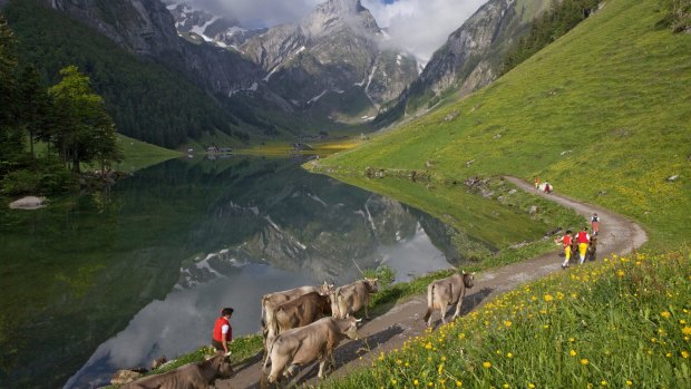 Alpine herdsmen dressed in traditional Appenzell costume walk next to Seealpsee lake in Switzerland.